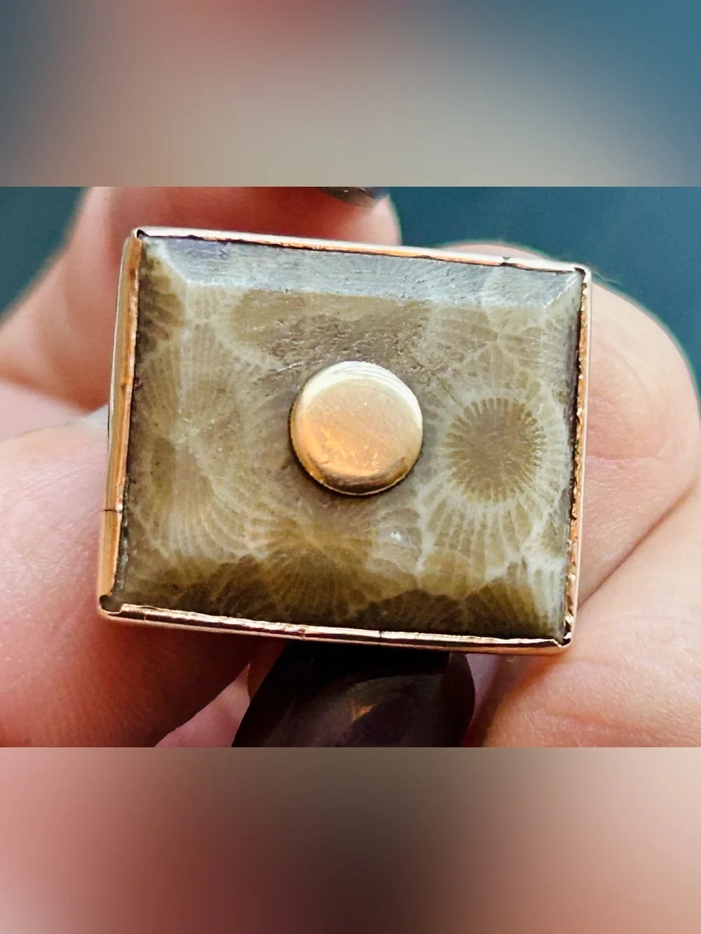 Rare Vintage Petoskey Stone & 10K Gold Accent Cuff Links (c. 1940s–1960s)